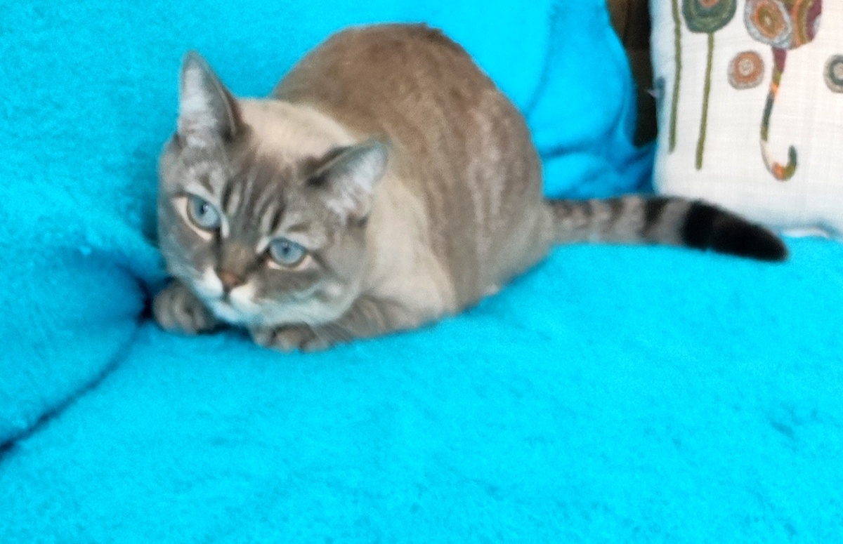 Фото автора 