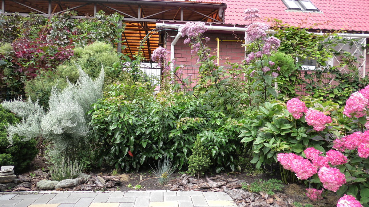 Самарская Лидия на фото справа