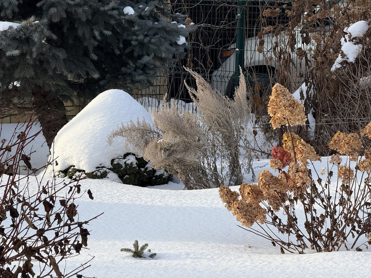 Самарская Лидия зимой
