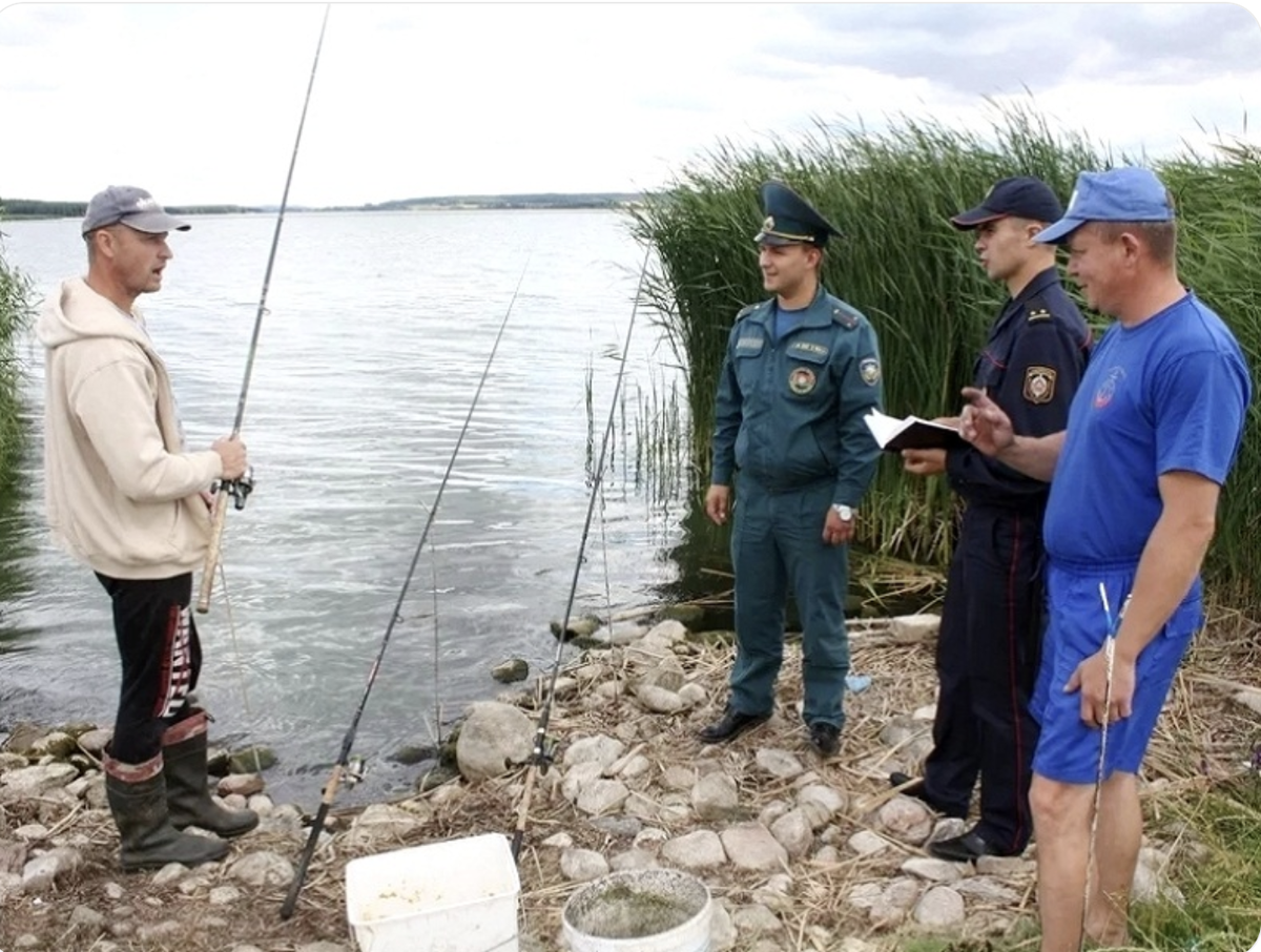 источник Дзен