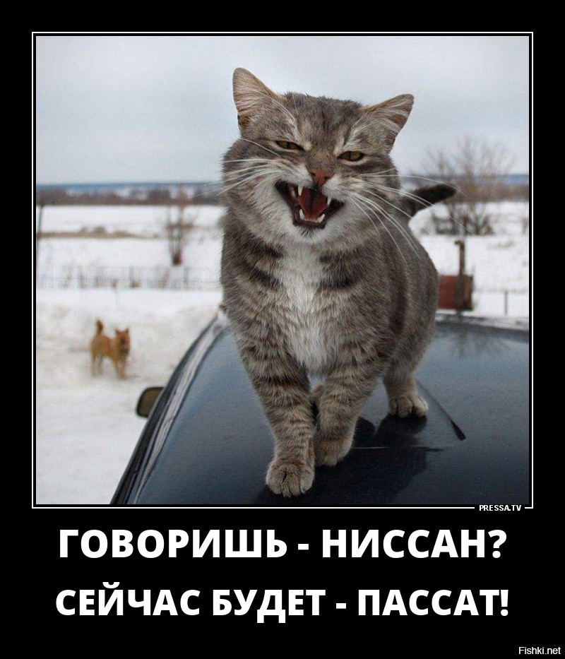 источник Яндекс-картинки