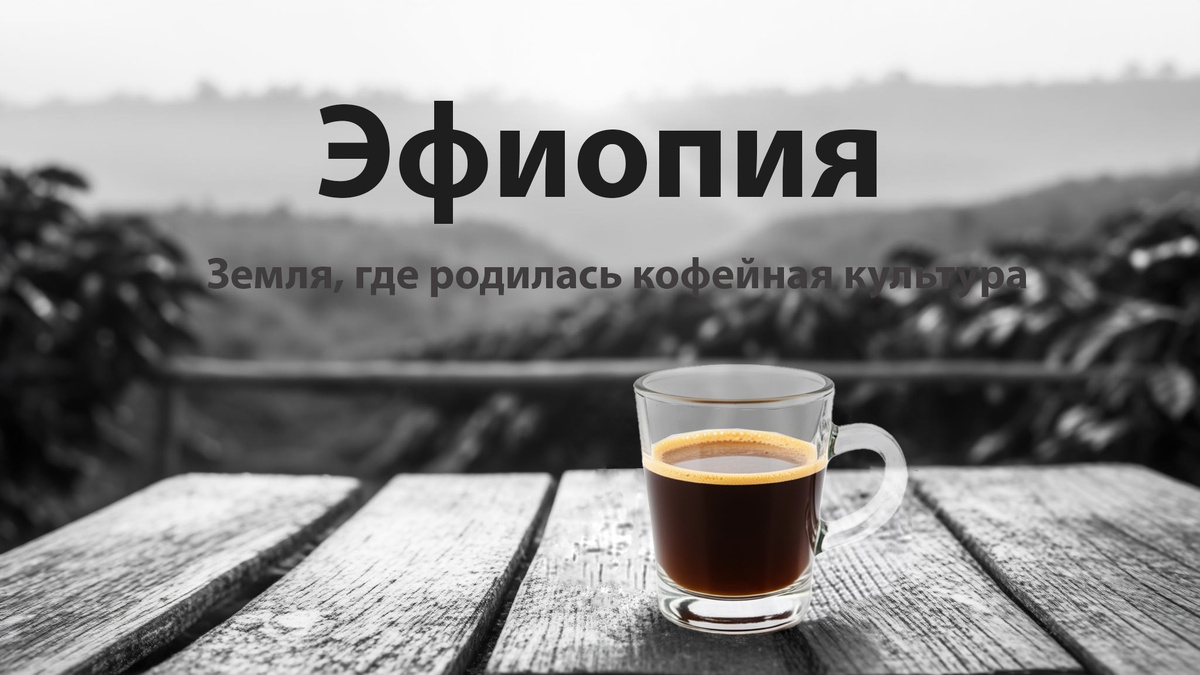 Иллюстрация к кофе Эфиопия Иргачефф (Yirgacheffe)