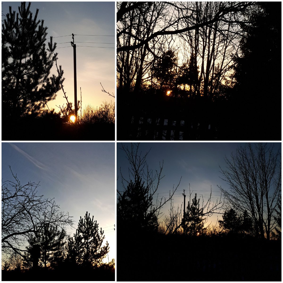 Коллаж автора 14.03.2026г.