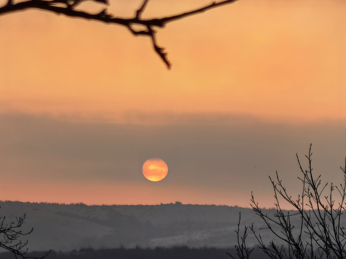 Сады на Марсе