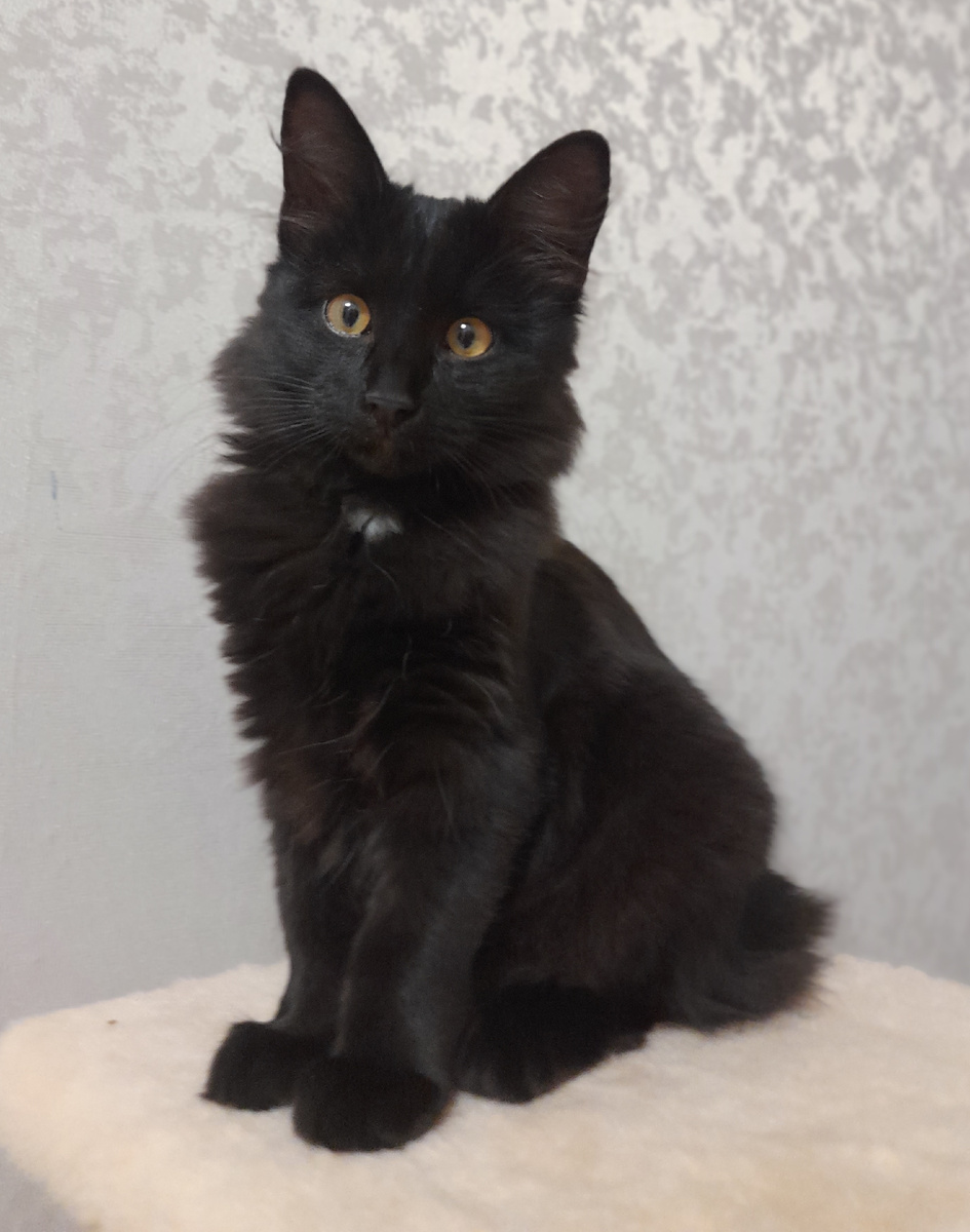 Лео даже на официальном фото при галстуке.