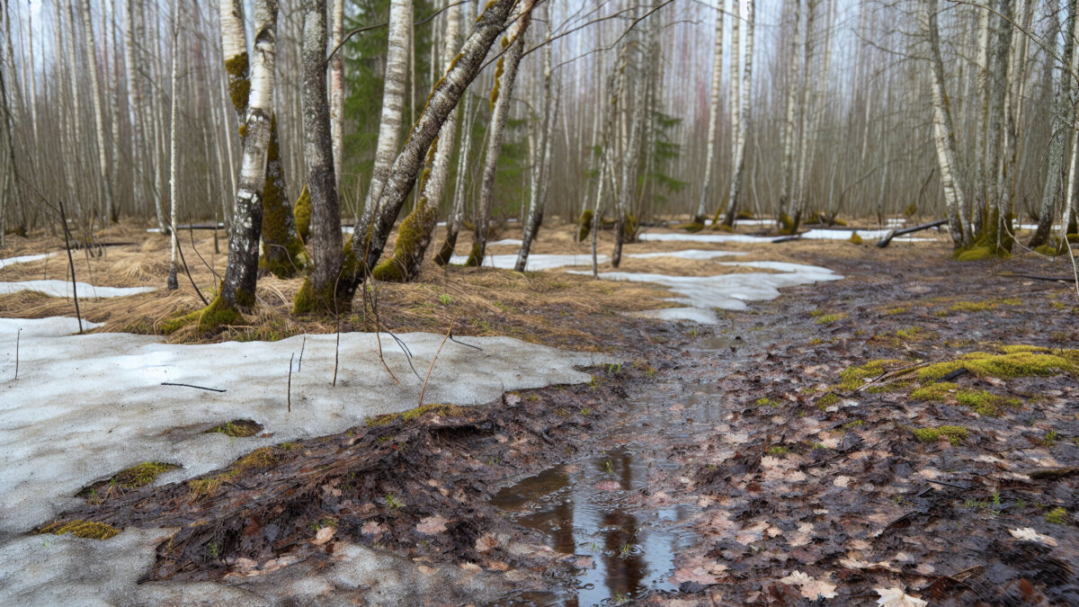    Фото - slanews.ru Елена Нижегородцева