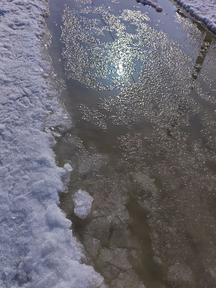 И все же весна