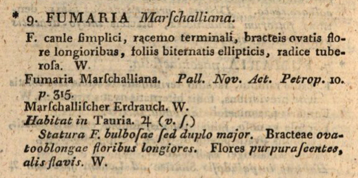 Описание Хохлатки Маршалла Вильденовым в «Caroli a Linné Species Plantarum», 1800.