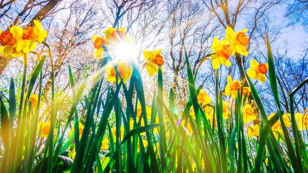 фото с яндекса