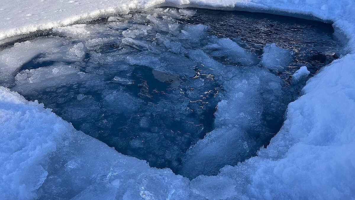    Фото: телеканал «Краснодар»