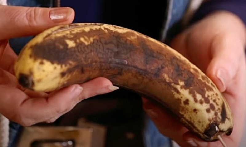 Как вырастить дома настоящее банановое дерево и превратить подоконник в тропический уголок