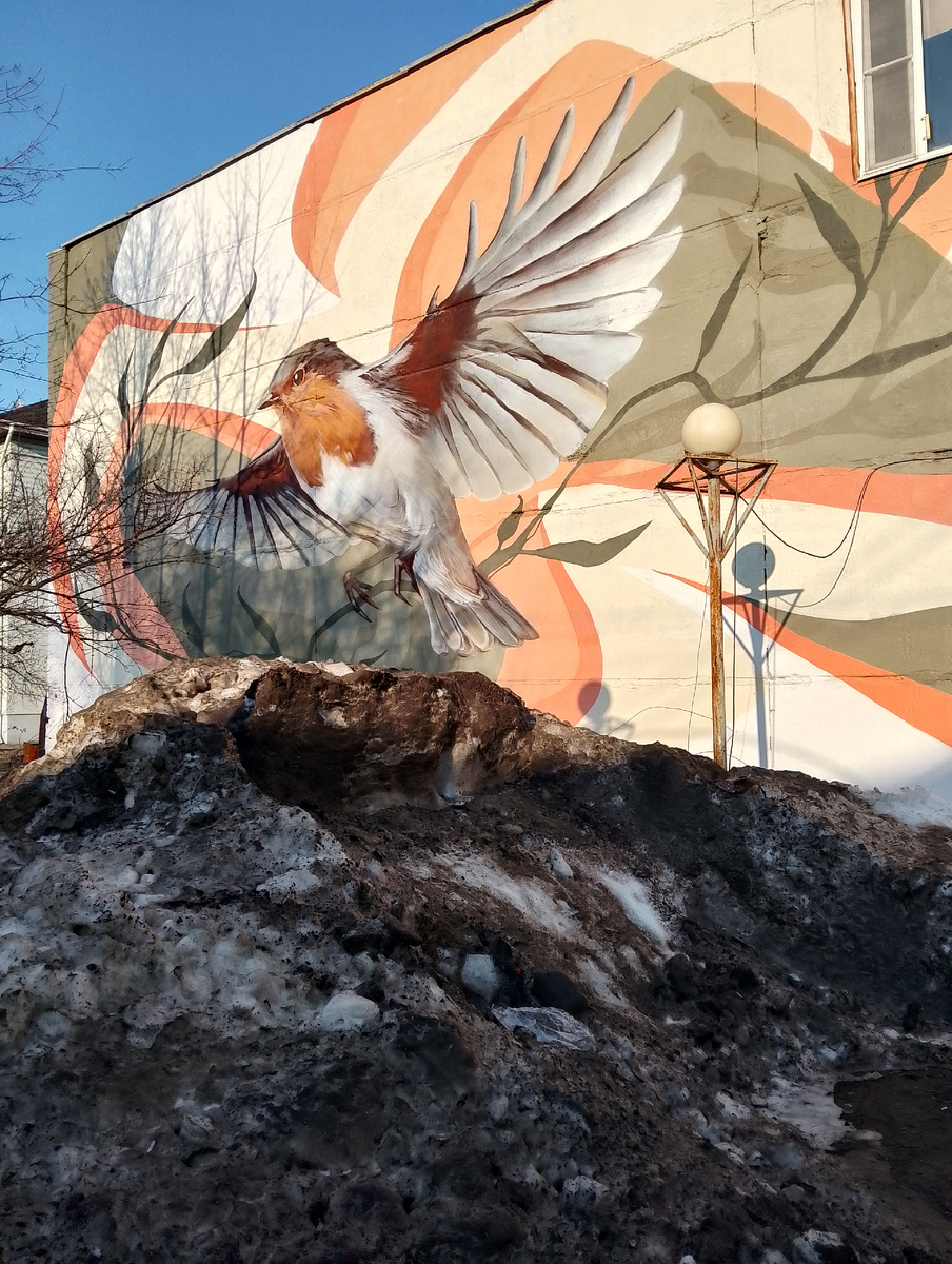 Новый мурал на одном из зданий и куча чернёного снега перед ним. Фото автора 
