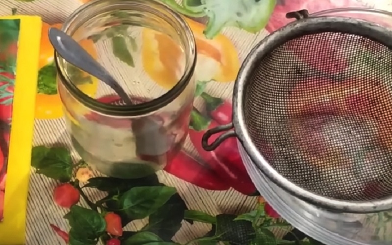 Самый быстрый способ прорастить морковь: удивительный результат без химии — урожайные грядки за три дня