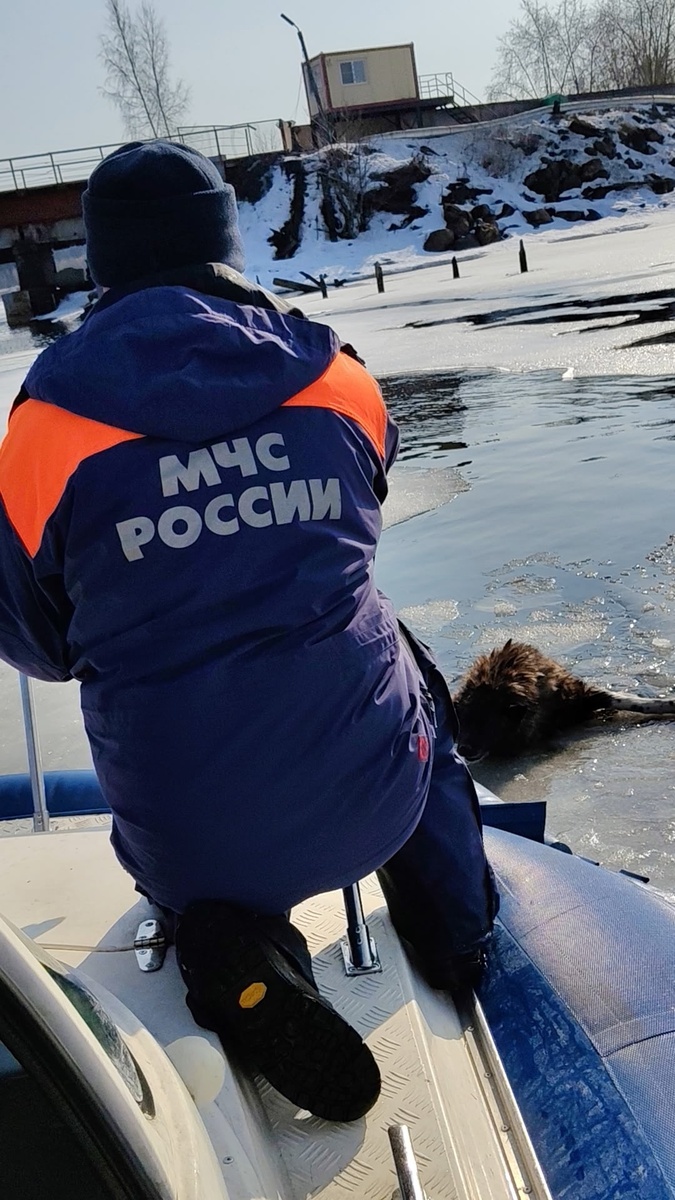    фото: https://vk.com/gims_pit