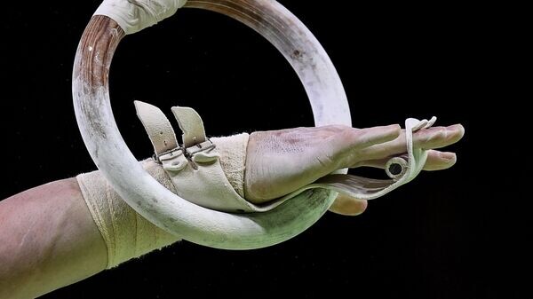    © Sputnik / Алексей Филиппов