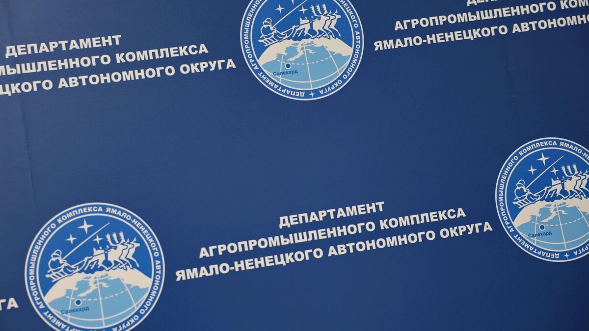    Фото: Андрей Ткачев / «Ямал-Медиа»