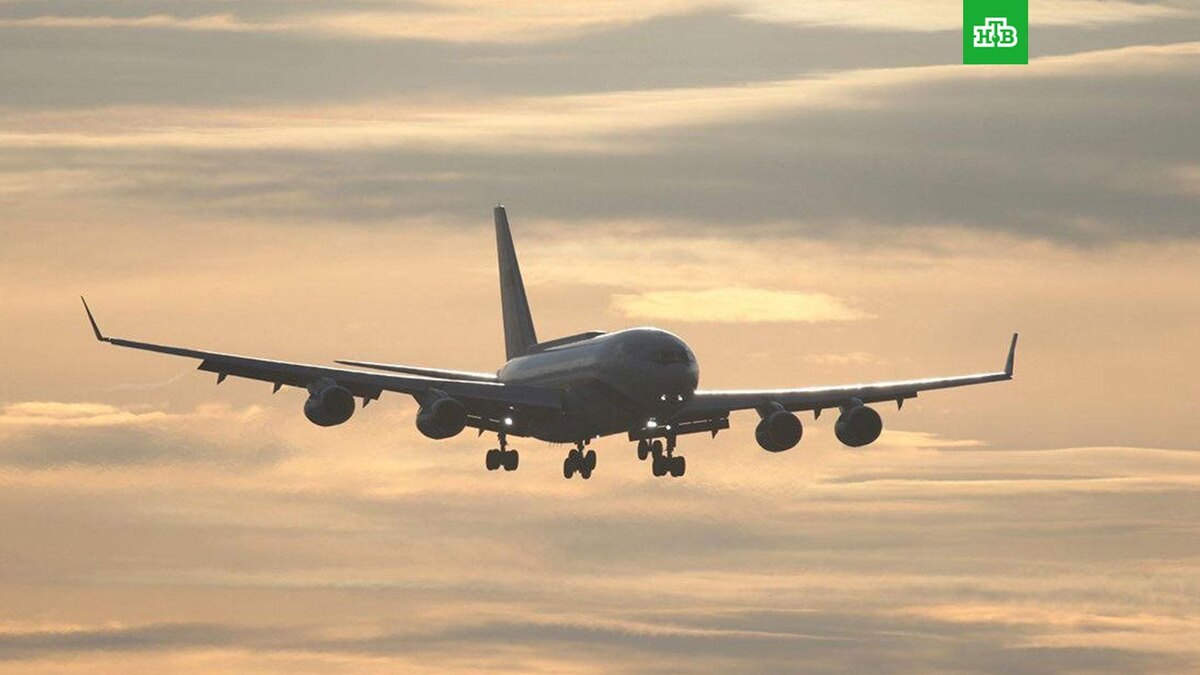    Фото: соцсети