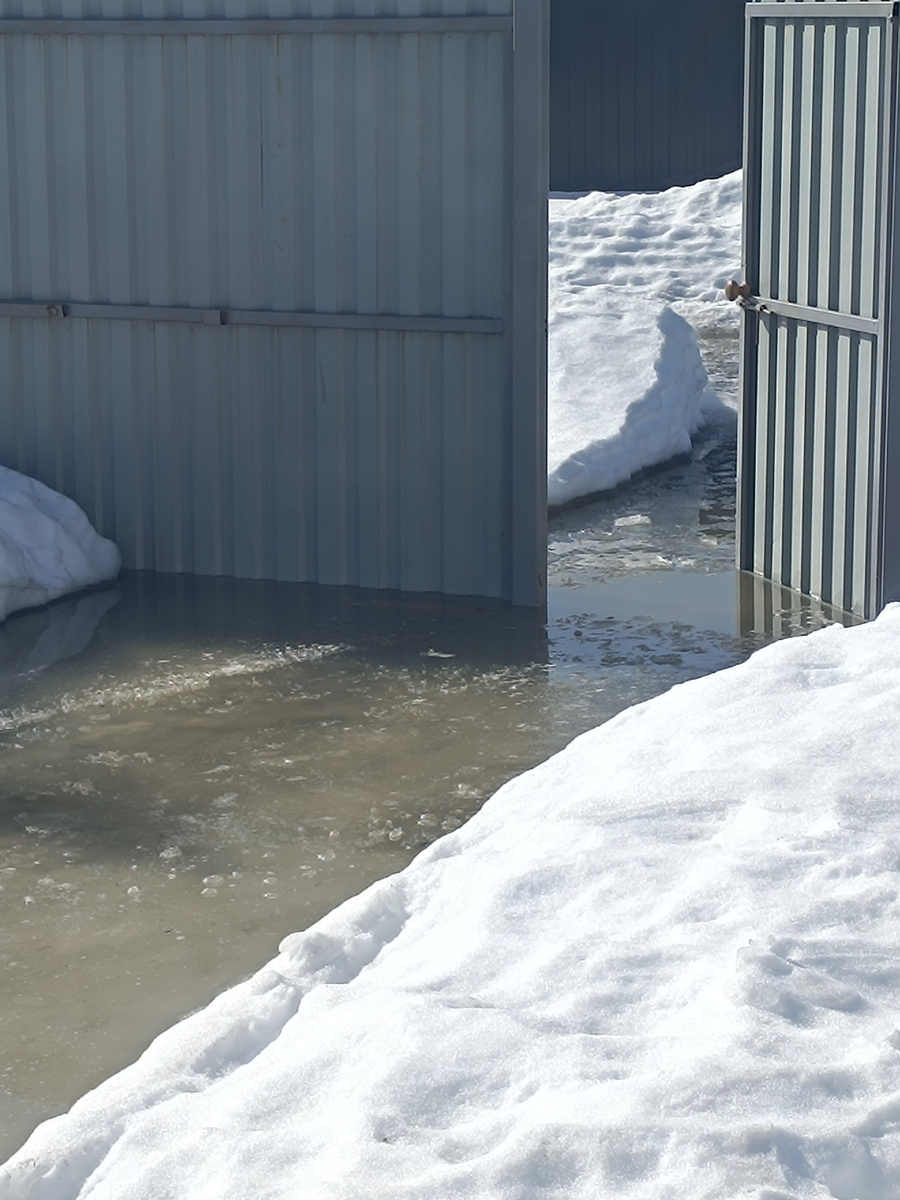 Выход с участка. 