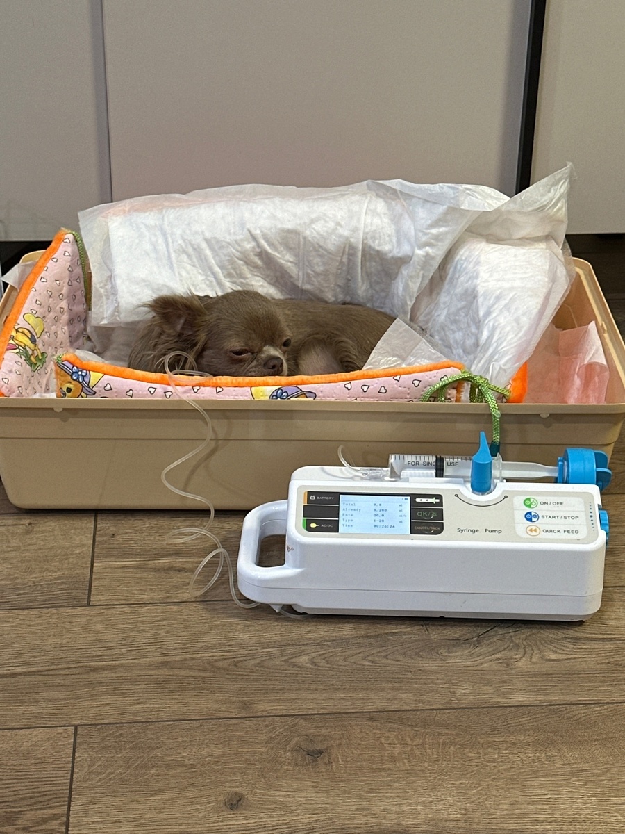 Такая деточка. Фото от Наталья Андреевны из Мира животных