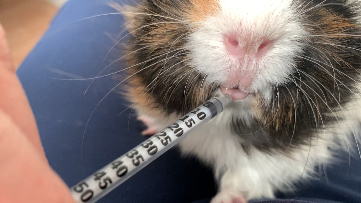 Практически всё выливается обратно