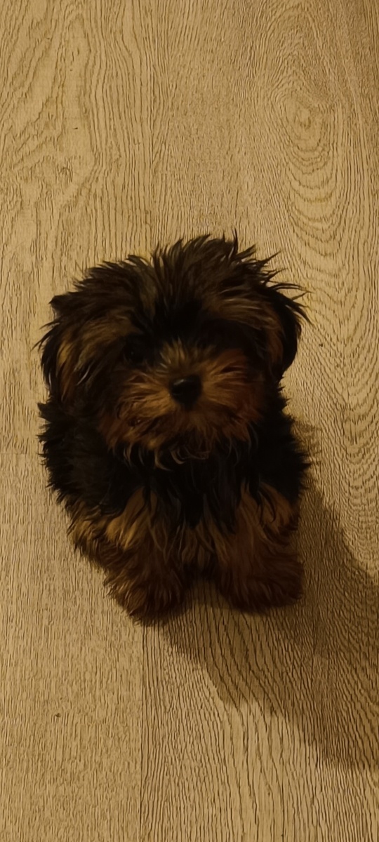 Наша Бэтти♥️♥️♥️