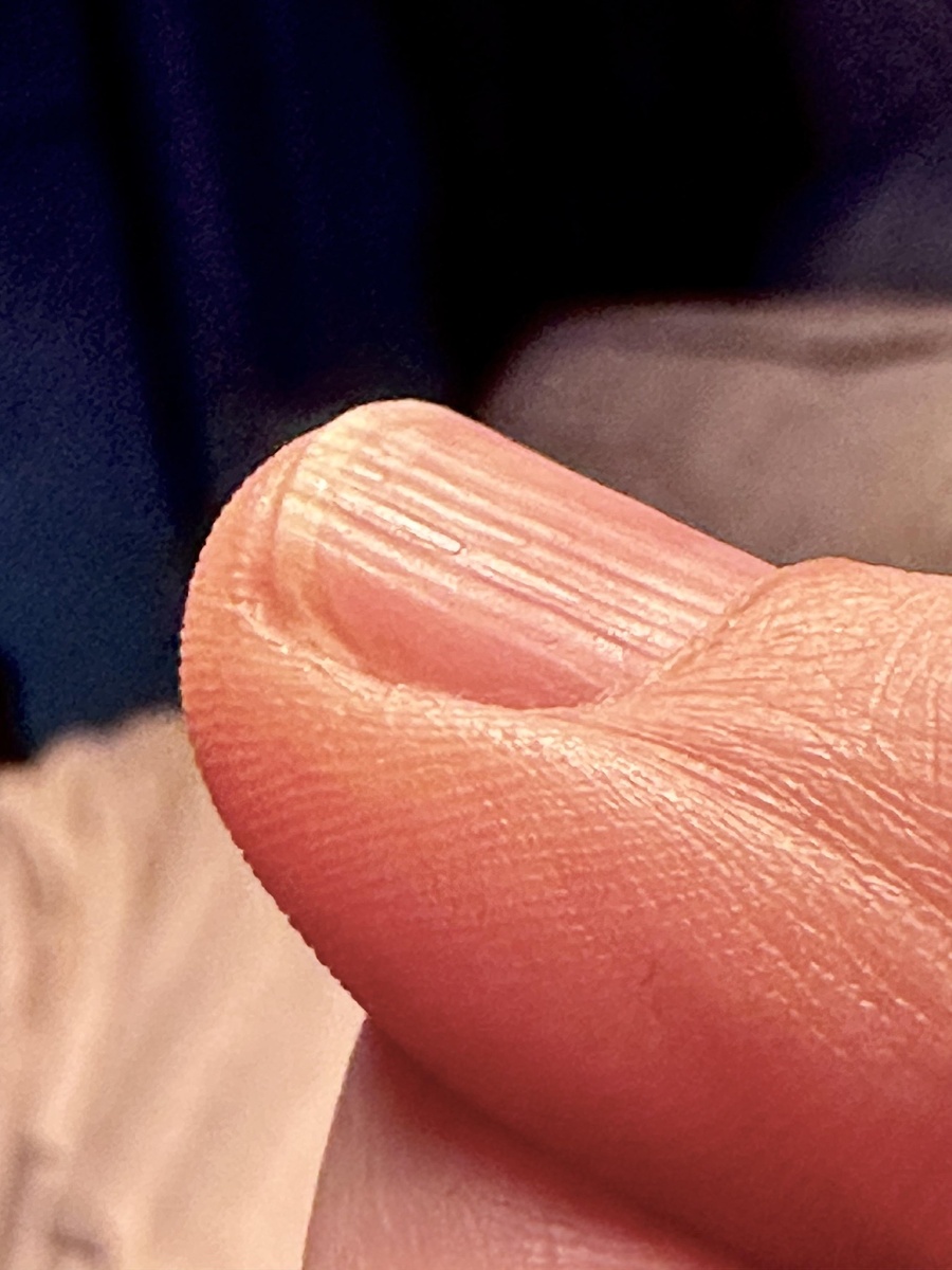 Источник: Active_Mousse_8554 / https://bit.ly/4rpFAjz 