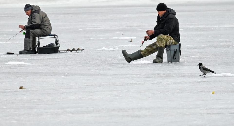    РИА «Новости»