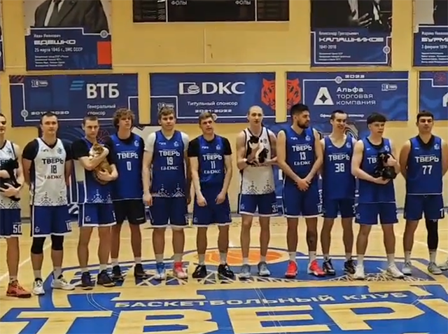 Любят ли баскетболисты животных? В Твери пройдет благотворительный матч