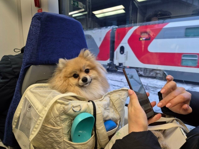 У электричек на участке «Москва-Тверь-Бологое» вновь изменится расписание