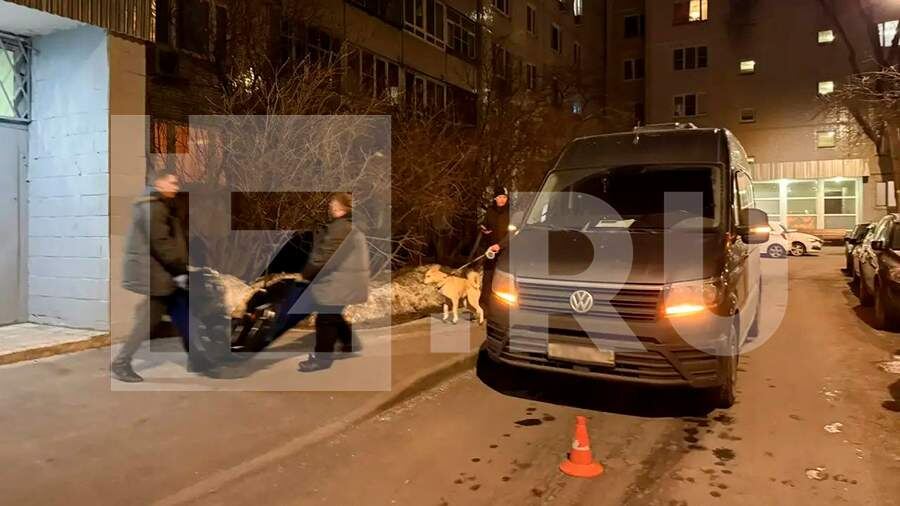    Фото: ИЗВЕСТИЯ