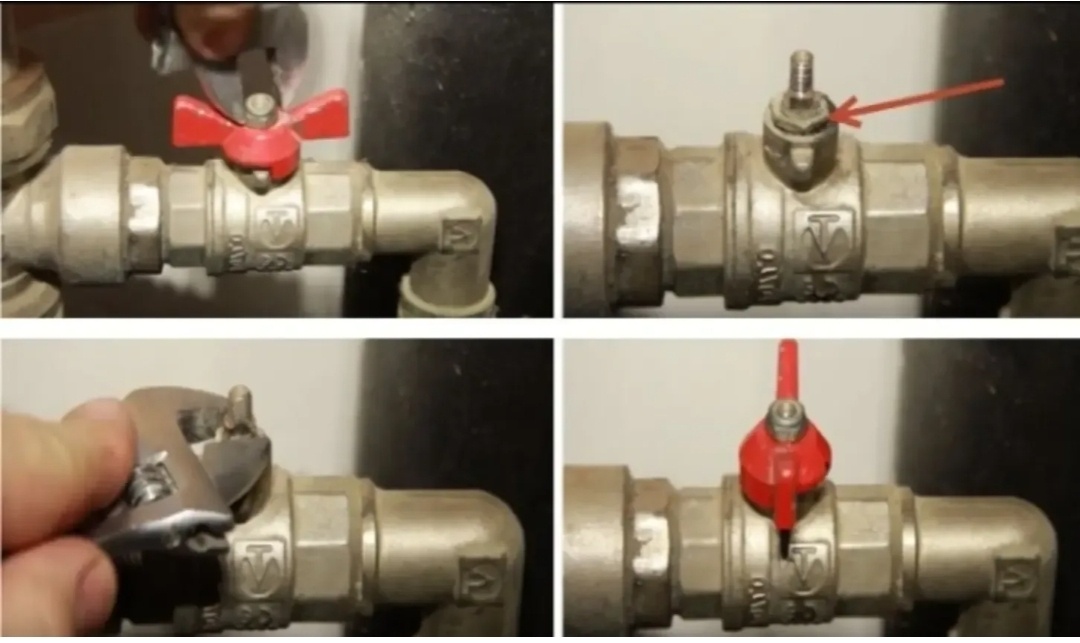 Изображение из открытых источников 