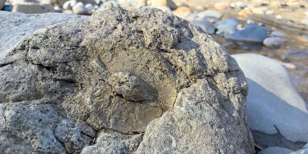 На поиски аммонитов в окрестностях Хаджоха