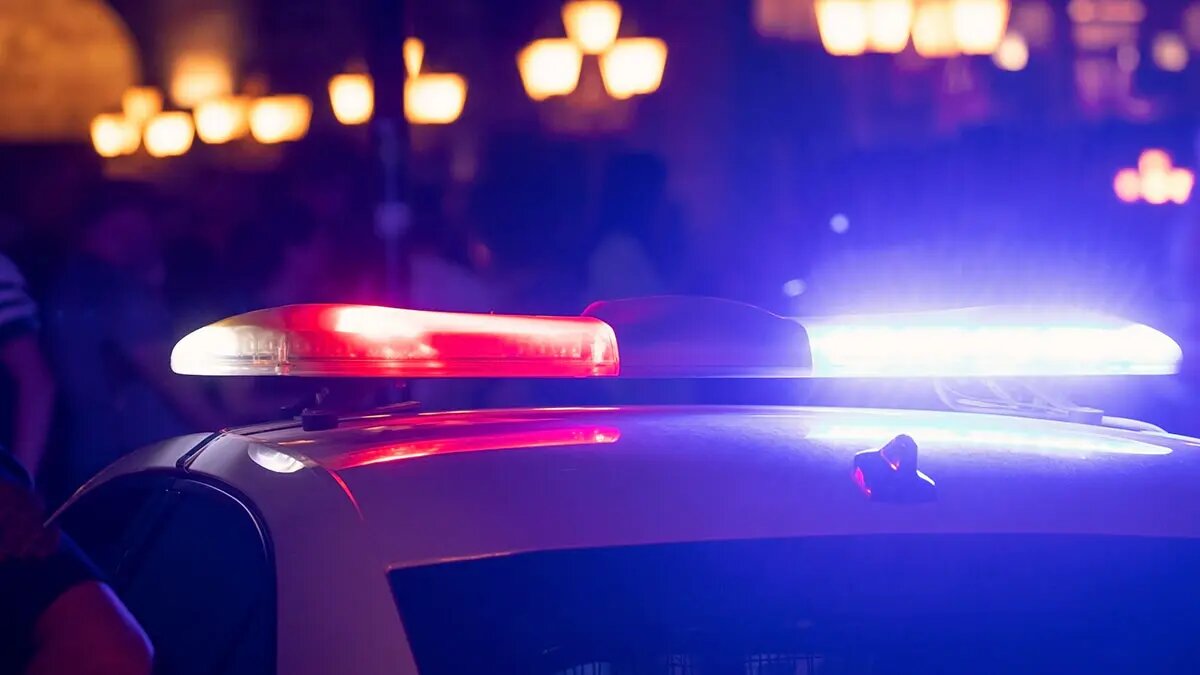    Источник: vm.ru/ Дмитрий