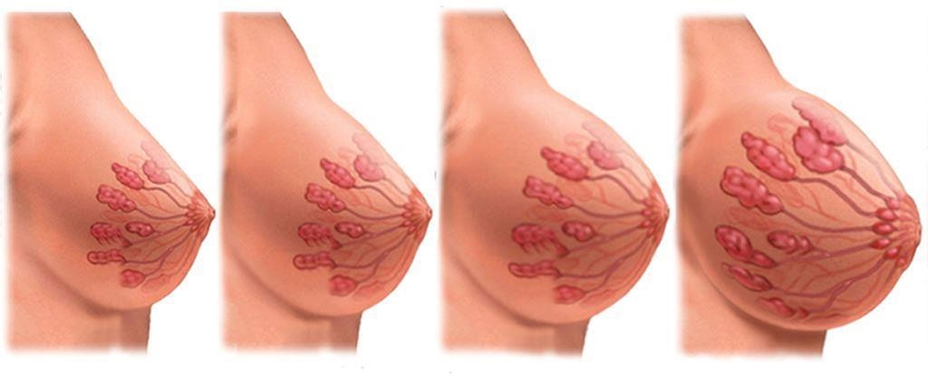 Иллюстрация из интернета