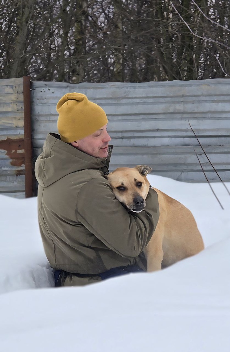 Пай в поисках дома❤️