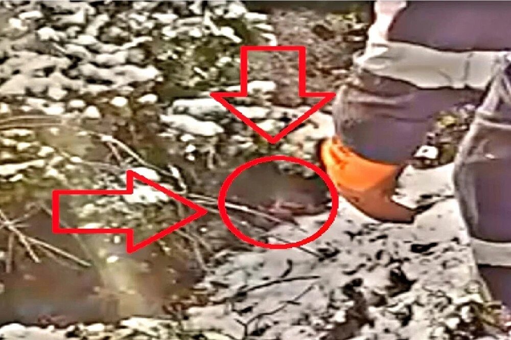  Справа от первого в цепочке спасателя яма, что-то вроде щели в скале и в ней я заметил что-то странное. Фото: мЧС России