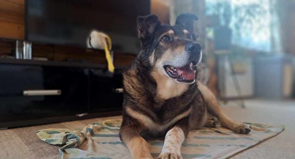 Старость должна быть только такой. Привет из дома от нашего самого мудрого выпускника Финика/Афони