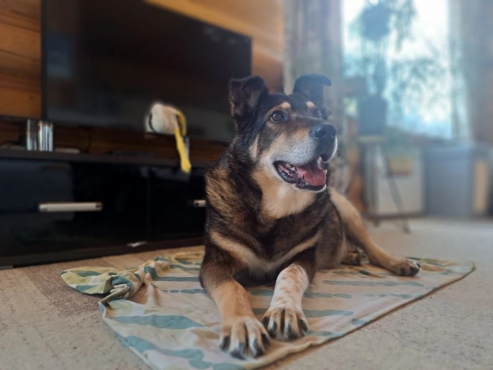 Счастье есть 💞