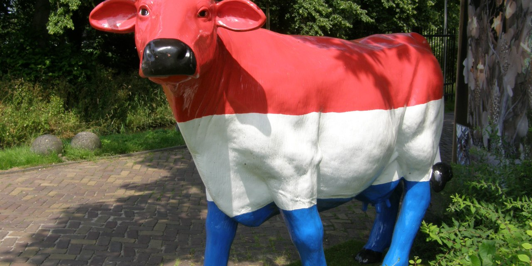 АМСТЕРДАМ. ЗАПИСКИ ИЗ ПРОШЛОГО. Часть 1