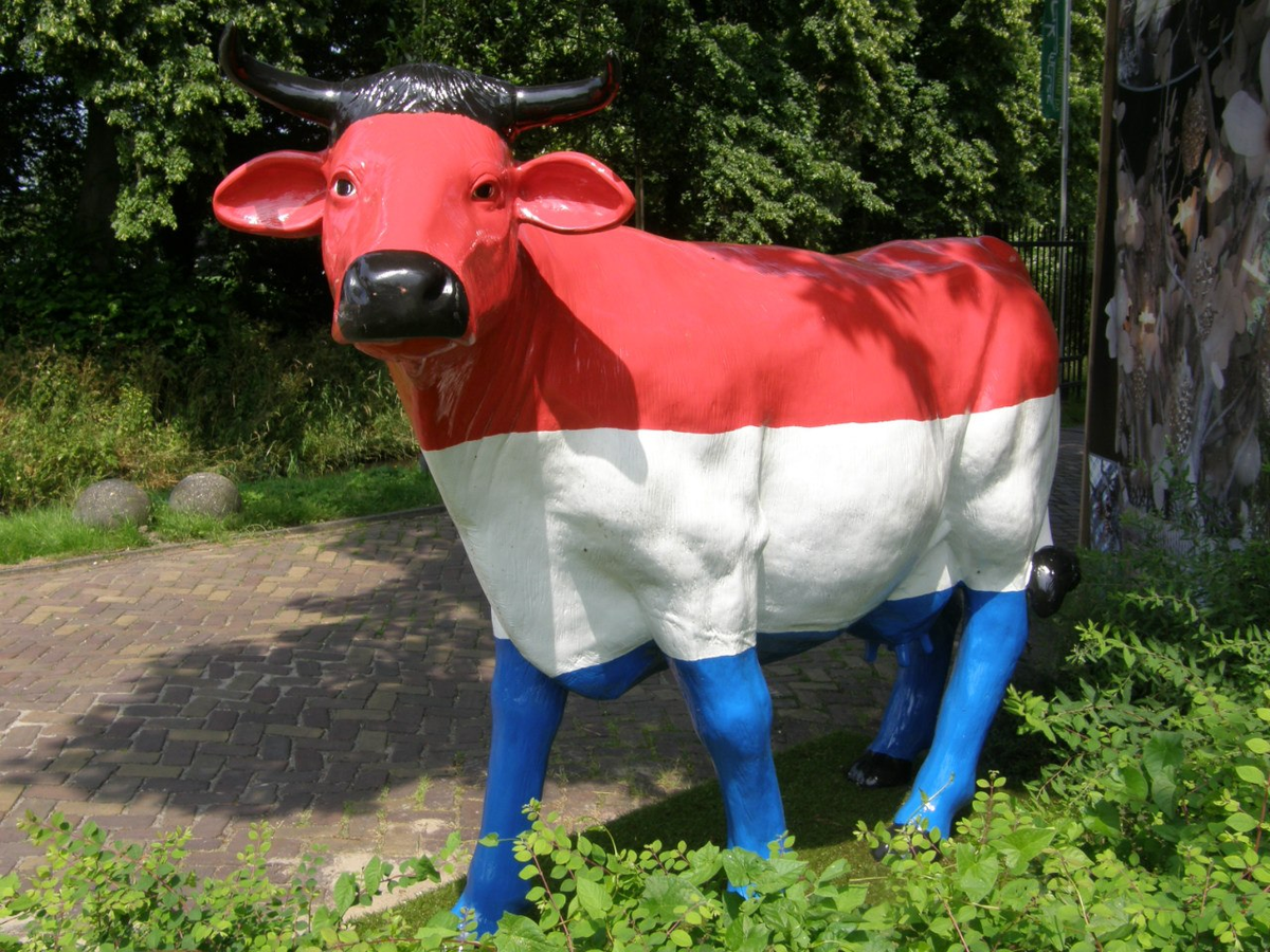 В цветах национального флага. Фото автора 