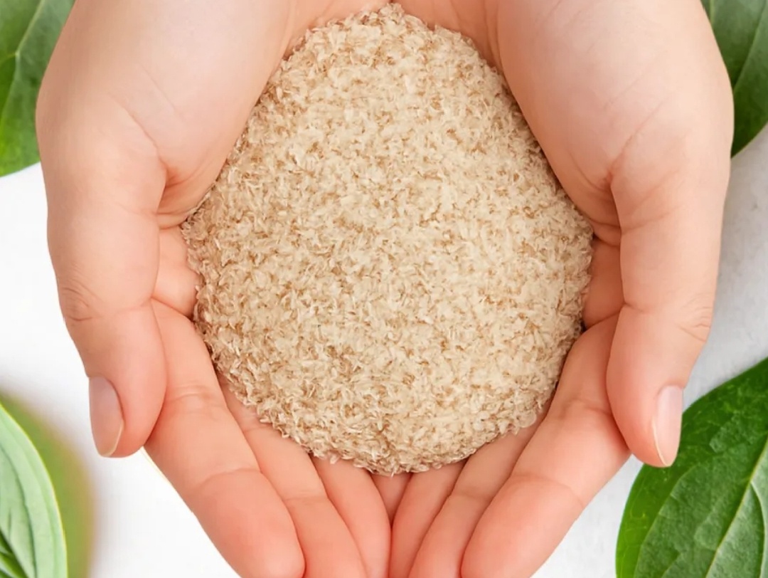 фото:псиллиум