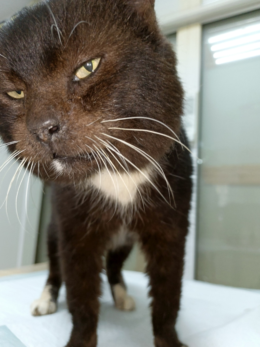 Его нельзя посчитать в граммах корма или списать по смете. Это Удмурт, Личность с большой буквы, у которой в нашем "Ковчеге" есть право на имя, характер и будущее.