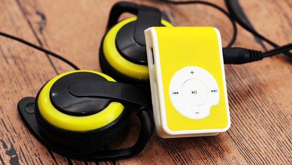    Автор фото: SabOlga/shutterstock/FOTODOM