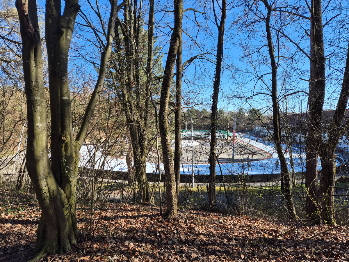 Ледовый стадион, Восточный парк