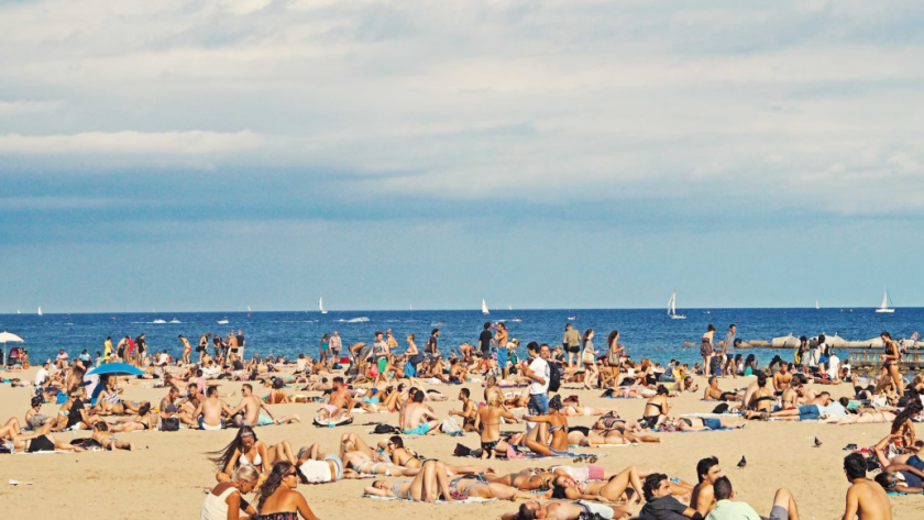    Фото с сайта unsplash.com