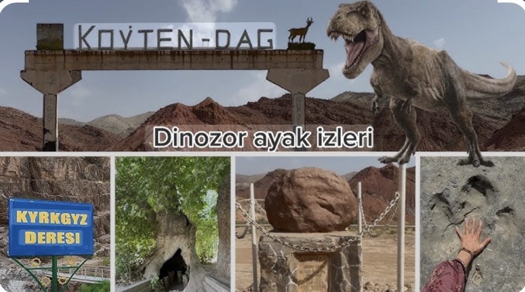 Фотография из интернета 