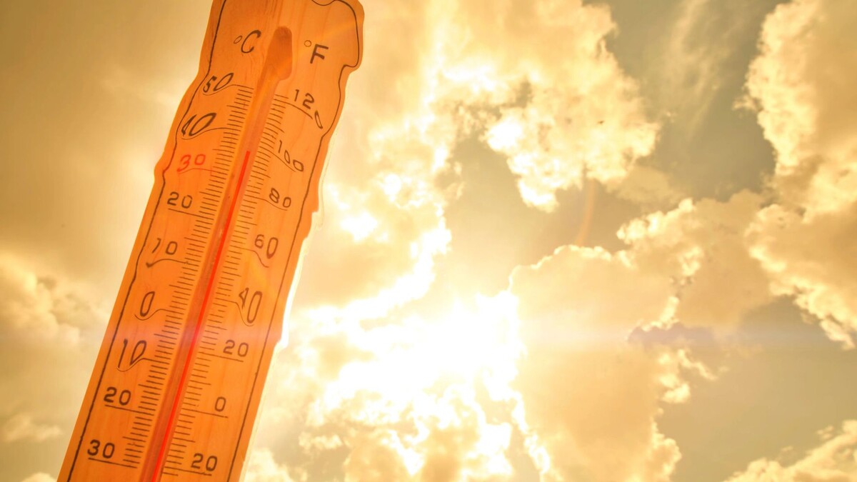    Фото: Dmitriy Prayzel/Shutterstock/Fotodom