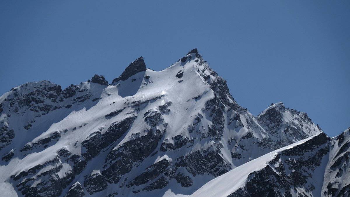 Фото: Яны Клименко Источник: Unsplash