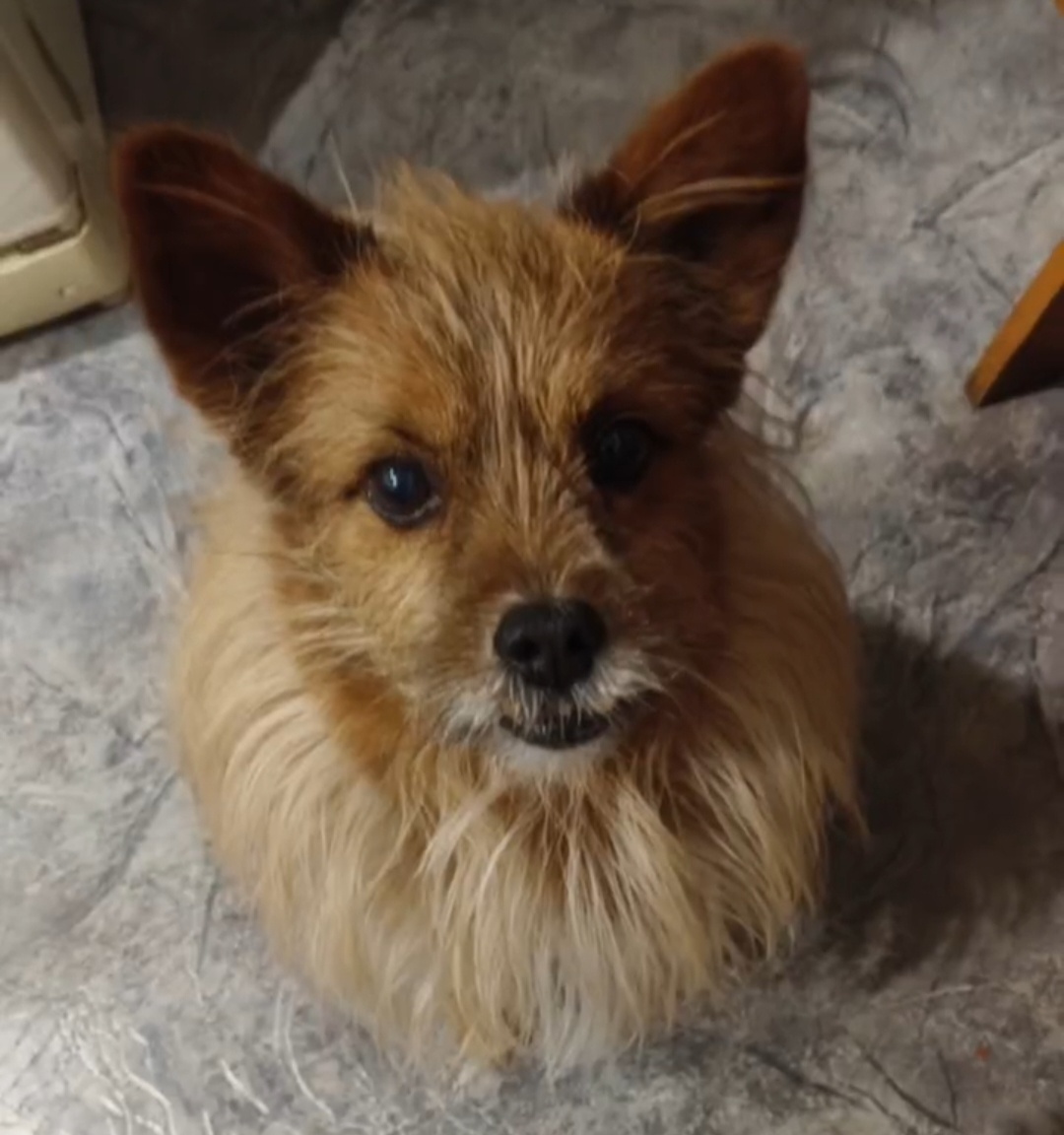 Надо брать всё в свои лапы 🐾🐾🐾