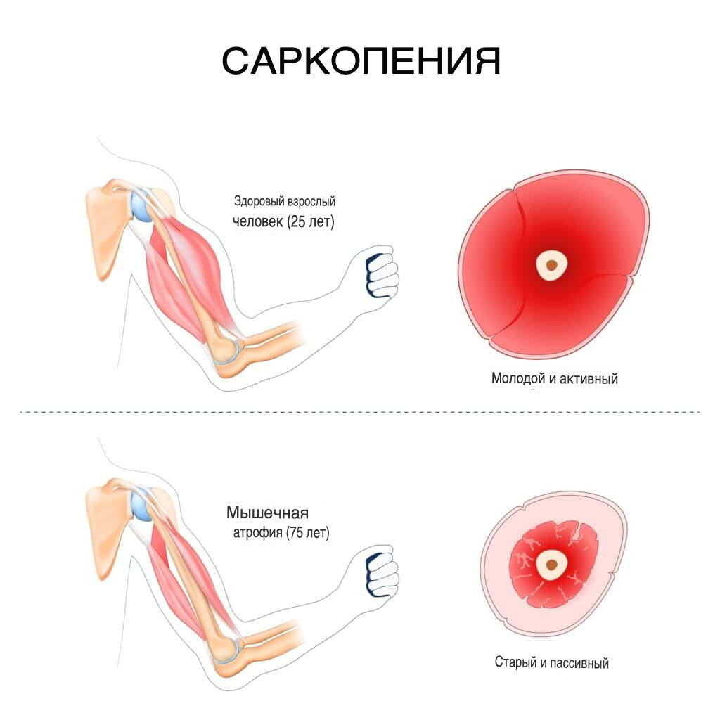 фото из открытого источника